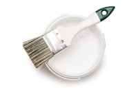 Paints & Finishes